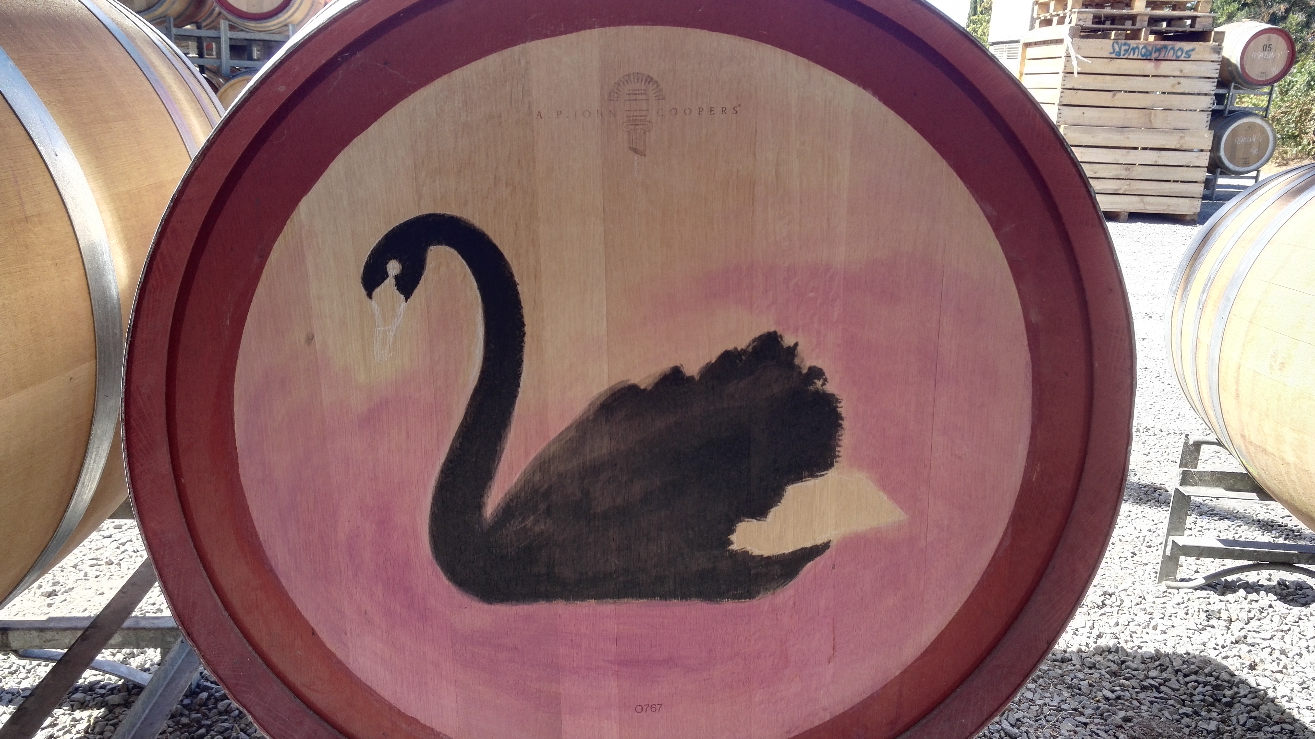 黑天鹅绘画过程1