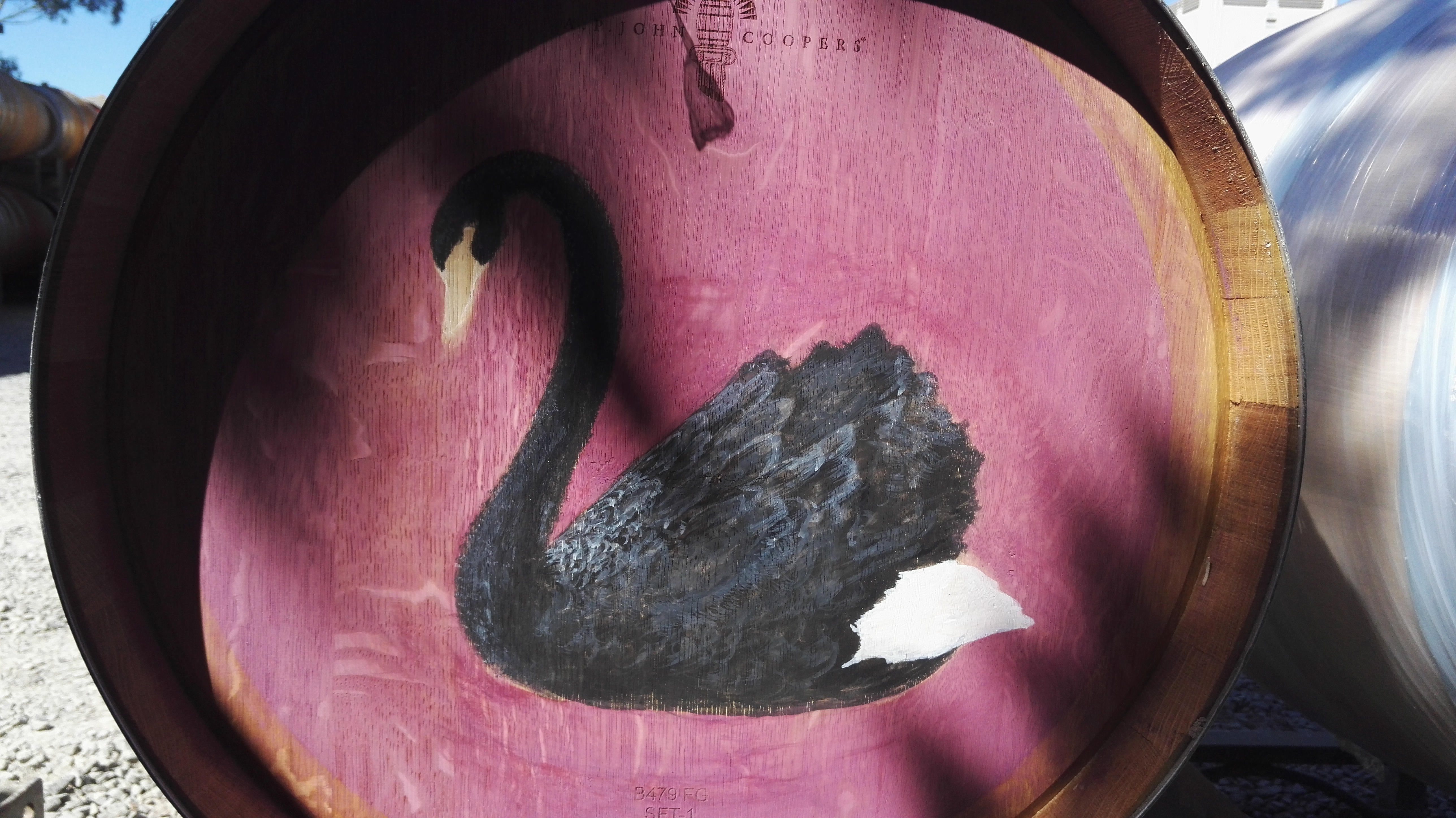 黑天鹅绘画过程2