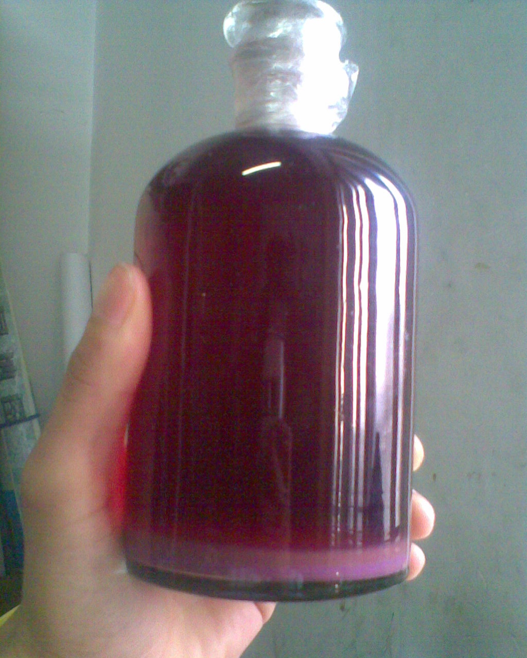 我的葡萄酒目前的情况